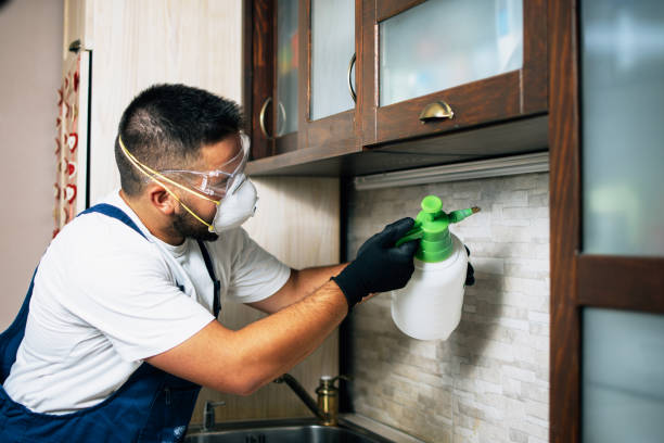 Best Commercial Pest Control Services  in Milton, PA