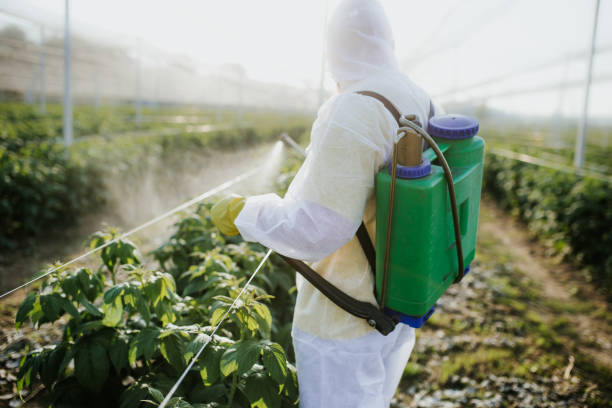 Best Mosquito Control Services  in Milton, PA